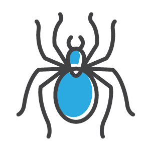 New York spider exterminator and spider control