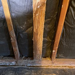 Hudson Valley Termite Damage