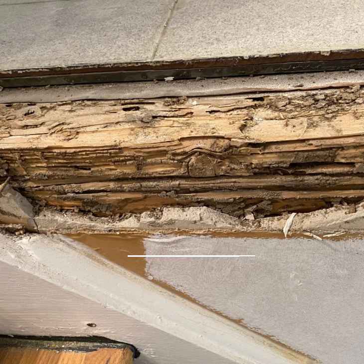 Termite company in Hudson Valley New York