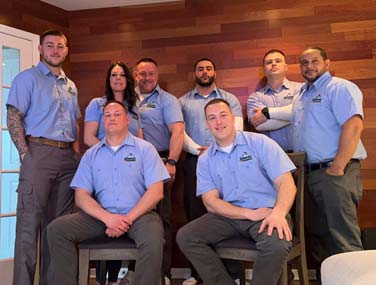 Mrs Bzzz pest control team ny Mrs Bzzz pest control team ny