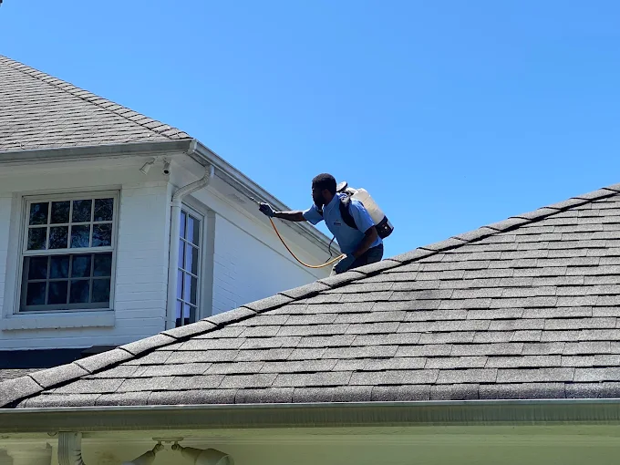 nc-pest-control